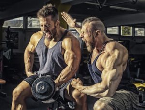 Buy TREST A 75mg/ml Online | Buy Trestolone Acetate 75mg/ml Online